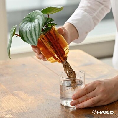 HARIO ガラスの花器[GK-200-AB] | ハリオ おしゃれ シンプル _FI80