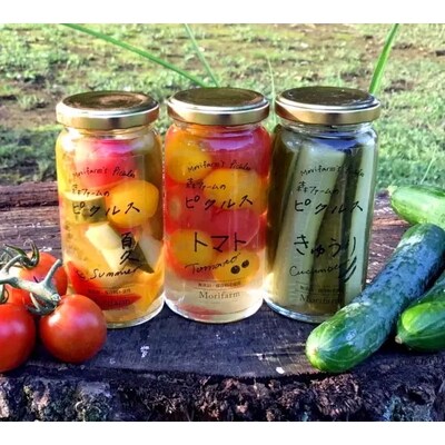 【無添加】季節の森ファームのピクルス 3個セット | ピクルス ぴくるす 野菜ソムリエ _BI88