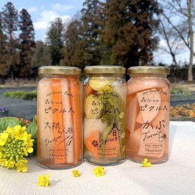【無添加】季節の森ファームのピクルス 6個セット | ピクルス ぴくるす 野菜ソムリエ _BI89
