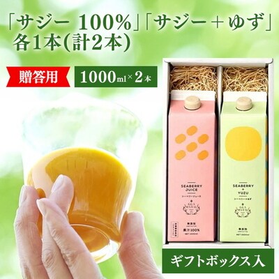 サジージュース 100%と+ゆず 1000ml×各1本セット(計2本)[ギフト用] _DX13