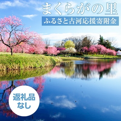 まくらがの里 ふるさと古河応援寄附金1,000,000円【返礼品なし】 _CV14