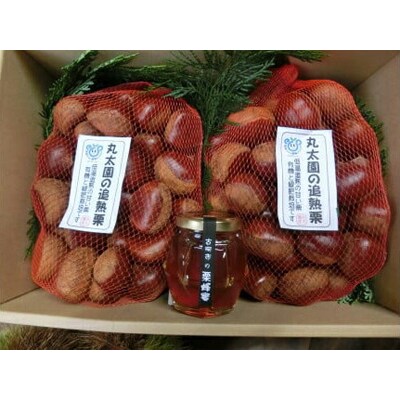 【数量・期間限定】低温追熟和栗1.8Kgと自園の栗蜂蜜セット ※2025年10月～発送 _BF13