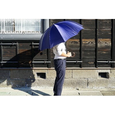 雪華模様のオリジナル傘(サイズ65cm)カラー:ネイビー | 傘 かさ 65センチ 雨 _BL10