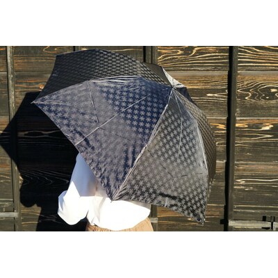 雪華模様の折り畳み傘(サイズ60cm)カラー:ブラック | 傘 かさ 65センチ 雨具 _BL15