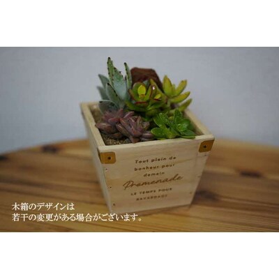 多肉植物 木箱の寄せ植え【S】 | 観葉植物 植物 グリーン 多肉 寄せ植え 室内 _FC07