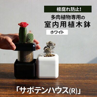 【ホワイト】多肉植物専用の室内用植木鉢「サボテンハウス(R)」 キューブ型 _GD01
