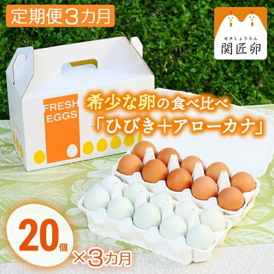 【定期便3か月】関匠卵 ひびき+アローカナハーフセット(計20個×3か月) | 卵 _CP07