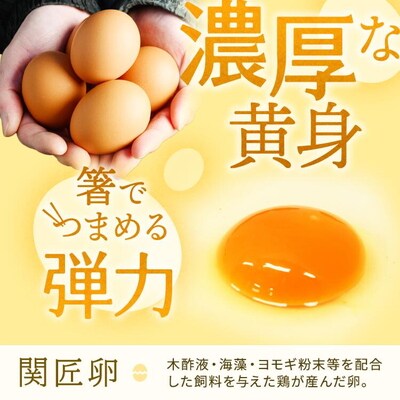 【定期便3か月】関匠卵 ひびき+アローカナハーフセット(計20個×3か月) | 卵 _CP07