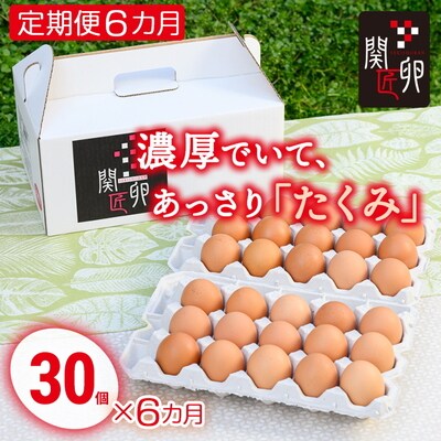 【定期便6か月】関匠卵 たくみ 30個×6か月 | 卵 30個 赤玉 玉子 たまご _CP09
