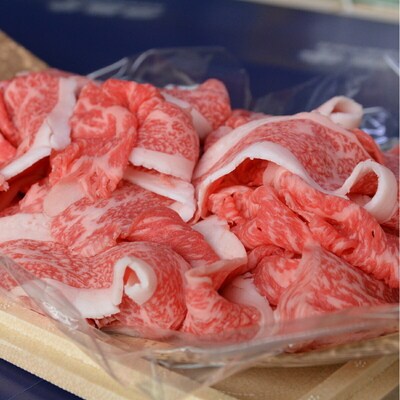 古河市で育った常陸牛!切り落とし650g | 肉 牛肉 650グラム 国産 茨城県 _AO04