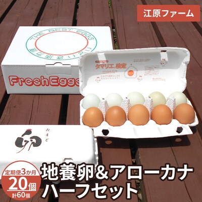 【定期便3か月】江原ファーム 地養卵&アローカナハーフセット(計20個)|卵 たまご _AG25