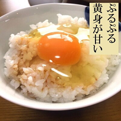 江原ファーム 地養卵&アローカナハーフセット 計30個 割れ補償 | 卵 30個 _AG07