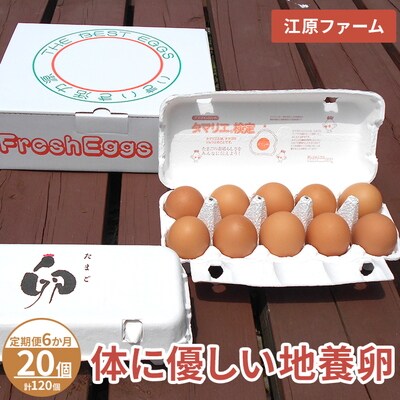 【定期便6か月】 江原ファーム 体に優しい地養卵(20個)|卵 たまご タマゴ _AG23