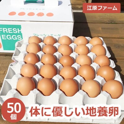江原ファーム 体に優しい地養卵 50個 割れ補償 | 卵 50個 赤玉 玉子 たまご _AG04