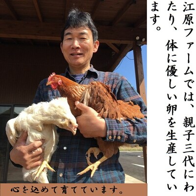 江原ファーム 体に優しい地養卵 50個 割れ補償 | 卵 50個 赤玉 玉子 たまご _AG04
