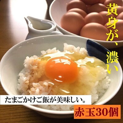 江原ファーム 体に優しい地養卵 30個 割れ補償 | 卵 30個 赤玉 玉子 たまご _AG03