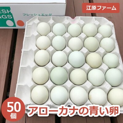 江原ファーム アローカナの青い卵 50個 割れ補償 | 卵 50個 玉子 たまご _AG02