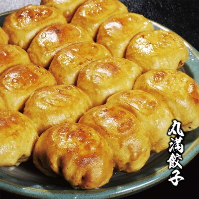 焼餃子三昧セット(MG+)焼餃子14包み(28人前) | 餃子 焼餃子 ぎょうざ _CO17