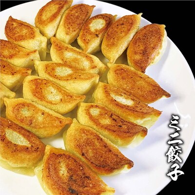 ミニ餃子三昧セット(M6)ミニ餃子3包み(6人前) | 餃子 焼餃子 ぎょうざ _CO15