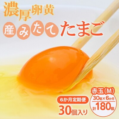 【6ヶ月定期便】小久保ファーム 濃厚卵黄 産みたてたまご 赤玉30個入り(M玉) _EI06