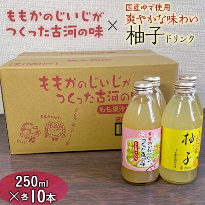 国産ゆず使用爽やかな味わい柚子ドリンク 250ml×各10本入 _EG03