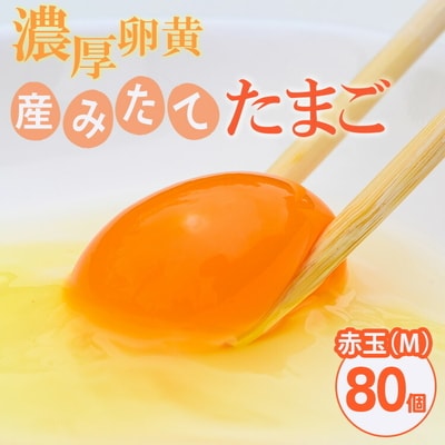 小久保ファーム 濃厚卵黄 産みたてたまご 赤玉80個入り(M玉) | 卵 80個 赤玉 _EI03