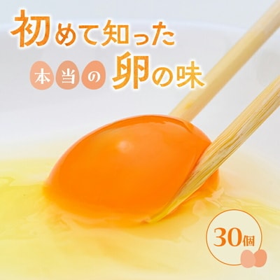 小久保ファーム 濃厚卵黄 産みたてたまご 赤玉30個入り(M玉) | 卵 玉子 たまご _EI01