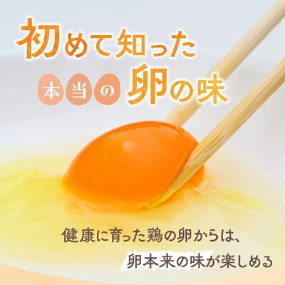 小久保ファーム 濃厚卵黄 産みたてたまご 赤玉30個入り(M玉) | 卵 玉子 たまご _EI01