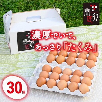 関匠卵 たくみ30個 ふるさと納税 たまご | 卵 30個 赤玉 玉子 たまご タマゴ _CP02