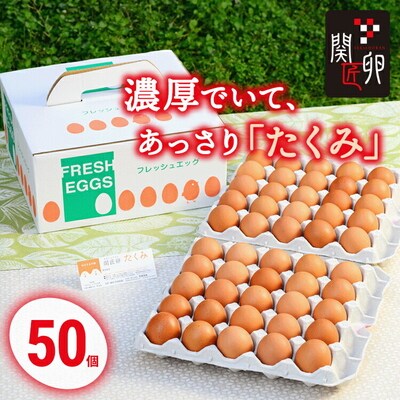 関匠卵 たくみ50個 | 卵 50個 赤玉 玉子 たまご タマゴ 生卵 鶏卵 生みたて _CP03