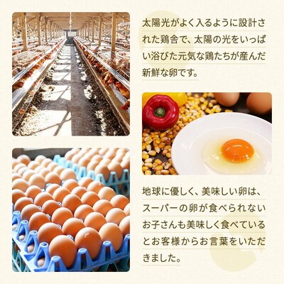 関匠卵 たくみ80個 ふるさと納税 たまご | 卵 80個 赤玉 玉子 たまご タマゴ _CP04