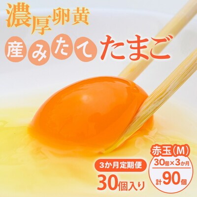 【定期便(3カ月)】小久保ファーム 濃厚卵黄 産みたてたまご 赤玉30個入り(M玉) _EI04
