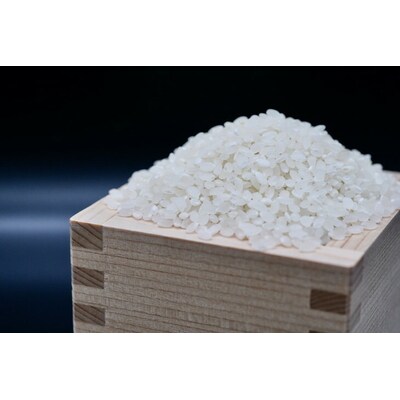 令和6年産 10kg 関東平野で育った古河市産コシヒカリ 10kg (5kg×2袋) _DG02