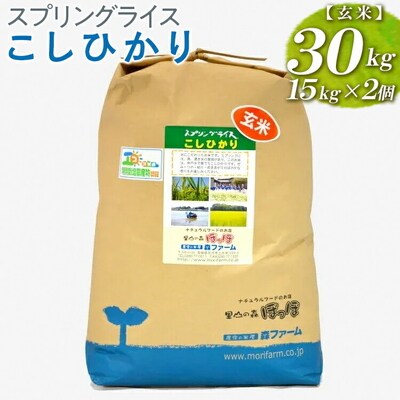 スプリングライス こしひかり (玄米)30kg(15kg×2個) | 米 こめ コメ _BI68