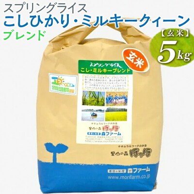 スプリングライス こしひかり・ミルキークィーン ブレンド (玄米)5kg | 米 こめ _BI69