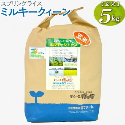 スプリングライス ミルキークィーン (玄米) 5kg | 米 こめ コメ 5キロ 玄米 _BI62
