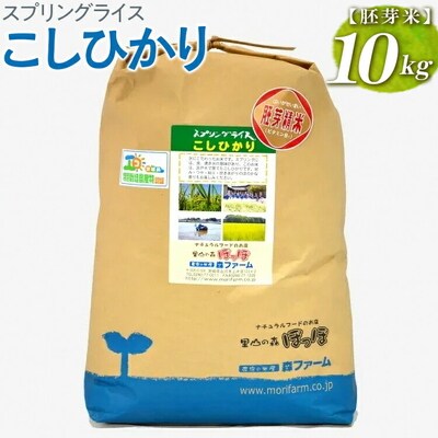 スプリングライス こしひかり (胚芽米)10kg | 米 こめ コメ 10キロ 胚芽米 _BI50