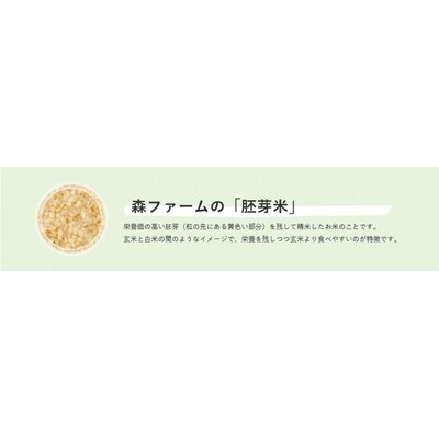 スプリングライス こしひかり (胚芽米)5kg | 米 こめ コメ 5キロ 胚芽米 _BI49