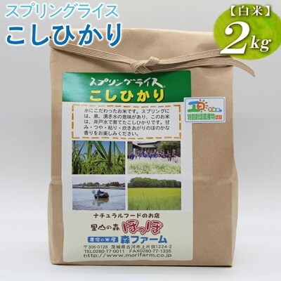 スプリングライス こしひかり (白米)2kg | 米 こめ コメ 2キロ 精米 白米 _BI24