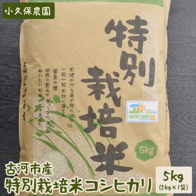 【令和7年産】古河市産 特別栽培米コシヒカリ5kg【小久保農園】 | こめ コメ 米 _AS05