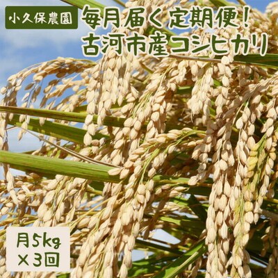 【令和7年産】毎月届く定期便!古河市産コシヒカリ5kg×3回【小久保農園】 | 米 _AS12