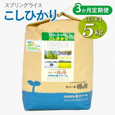 【定期便3か月】令和7年産 毎月届く!スプリングライス こしひかり (白米) 5kg _FN17
