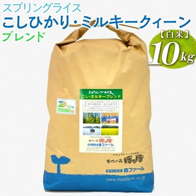 スプリングライス こしひかり・ミルキークィーン ブレンド (白米)10kg | 米 _BI28