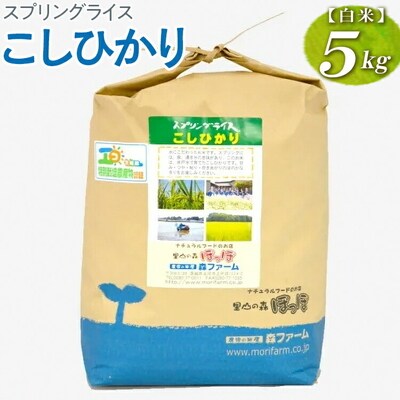 スプリングライス こしひかり (白米)5kg | 米 こめ コメ 5キロ 精米 白米 _BI25