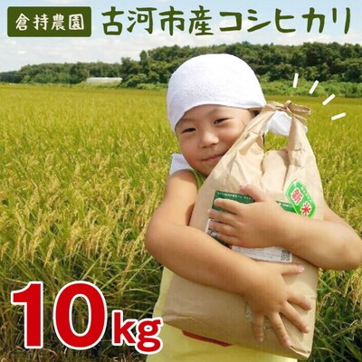 【令和7年産】古河市産 コシヒカリ10kg【倉持農園】 | 米 ※2025年11月～発送 _AN01