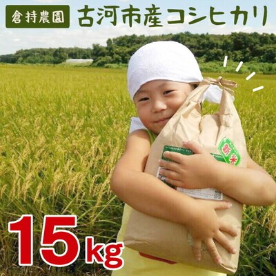 【令和7年産】古河市産 コシヒカリ15kg【倉持農園】 | 米 ※2025年11月～発送 _AN02