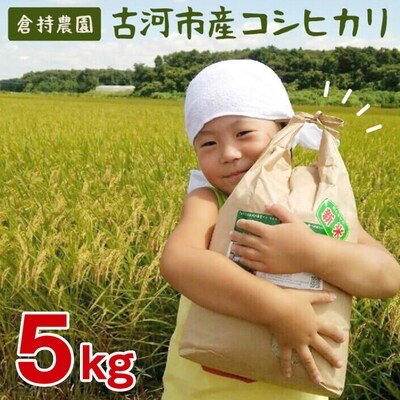 【令和7年産】古河市産 コシヒカリ5kg【倉持農園】 | 米 ※2025年11月～発送 _AN03