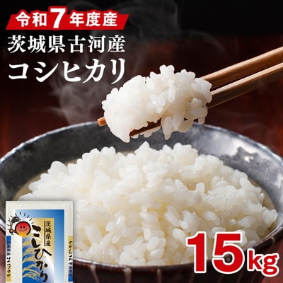 令和7年産 古河市産コシヒカリ 15kg(5kg×3袋) | 米 ※2025年9月～発送 _DP21