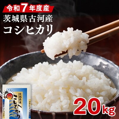 令和7年産 古河市産 コシヒカリ 20kg(5kg×4袋) ※2025年9月～発送 _DP24