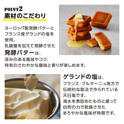 バターバトラー バターフィナンシェ(4個入×2箱セット)
